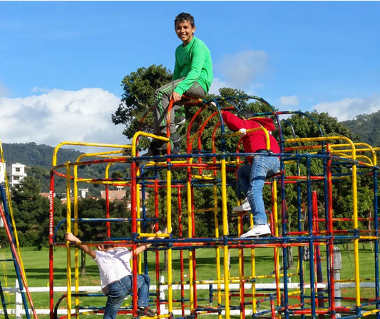 Jungle Gym