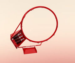 Basketball Pole Dunking Ring